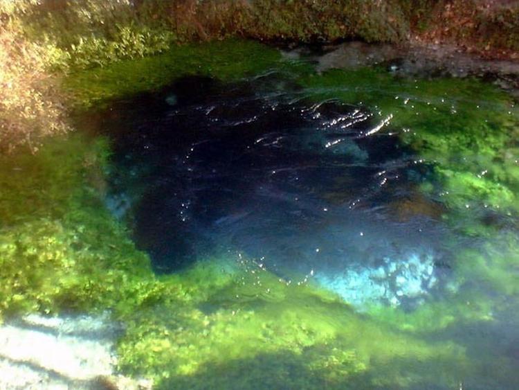 2plasvo oko 4