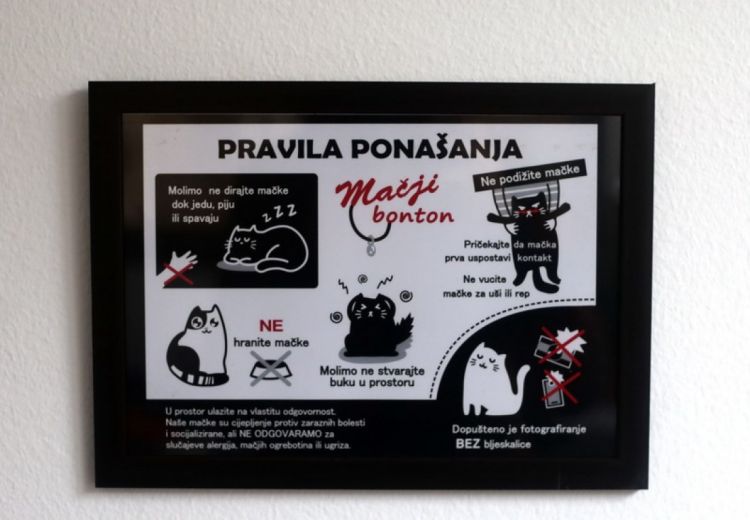 5a1a9dbf 99c0 4afb b35f 6f4d0a0a0a7e cat caffe zagreb 1 previewOrg