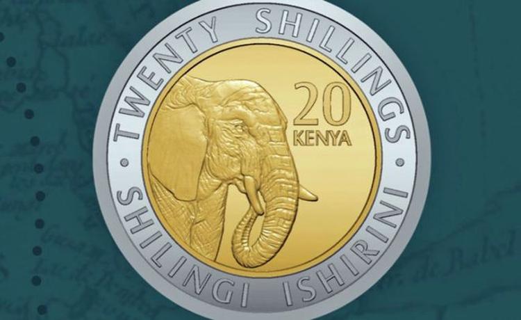  104738138 coinbody