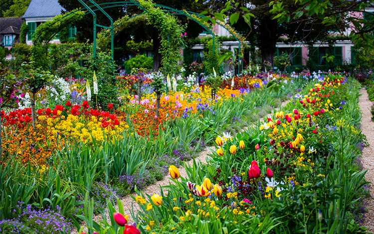 monet garden giverny flower borders