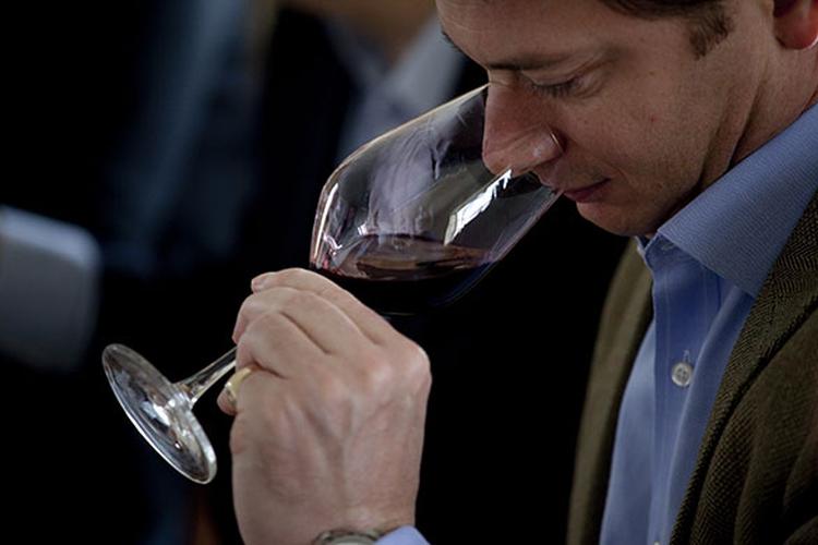 vino 3