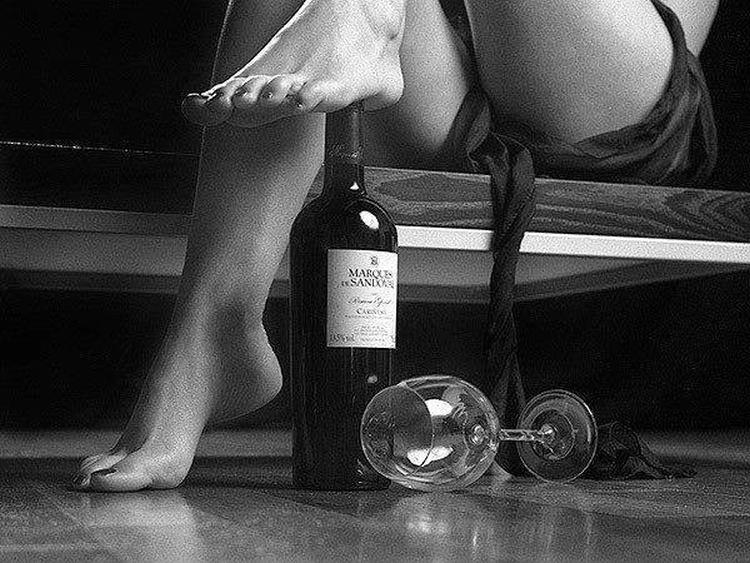 vino 6