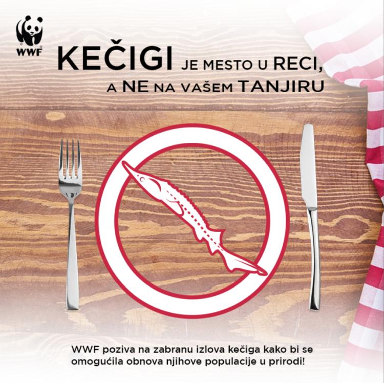 kec48digi je mesto u reci a ne vac5a1em tanjiru