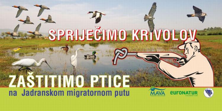 ptice sprijecimo krivolov