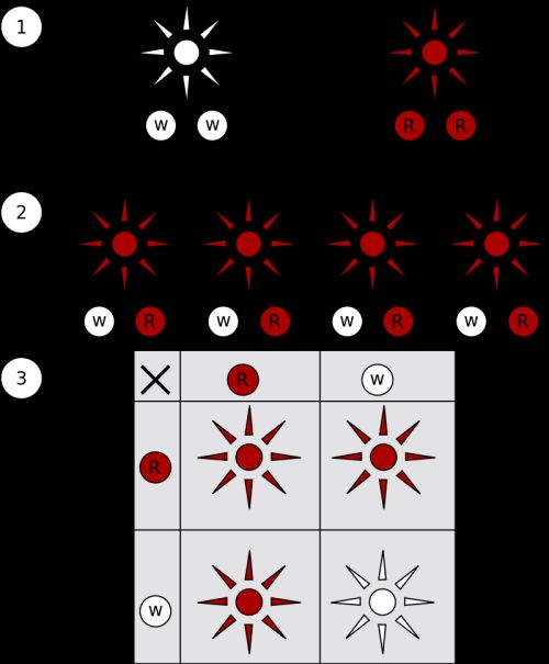 Mendelian inheritance 6