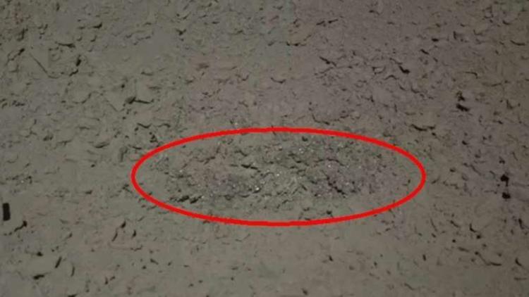 moon snot 1024