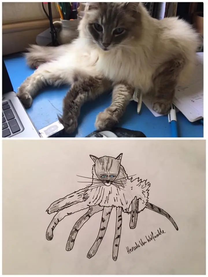 1 pet portrait 1603468487000