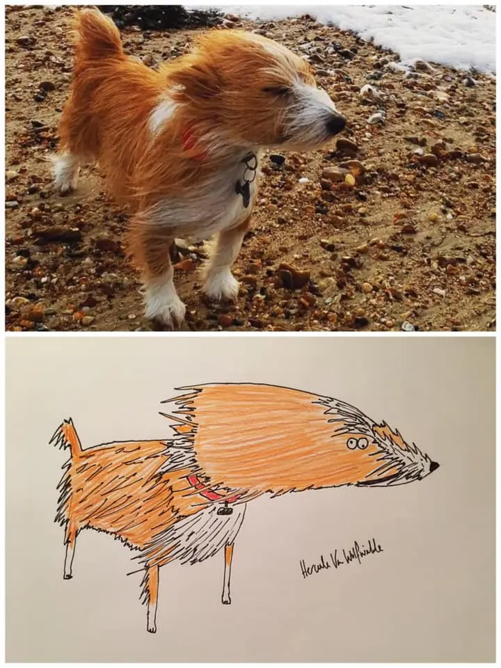 6 pet portrait 1603469688428