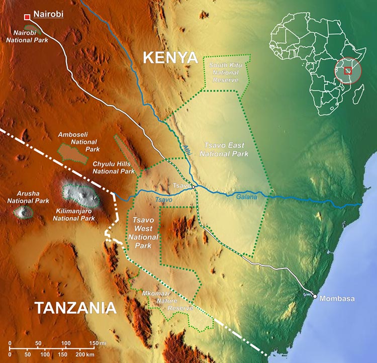 Amboseli 01