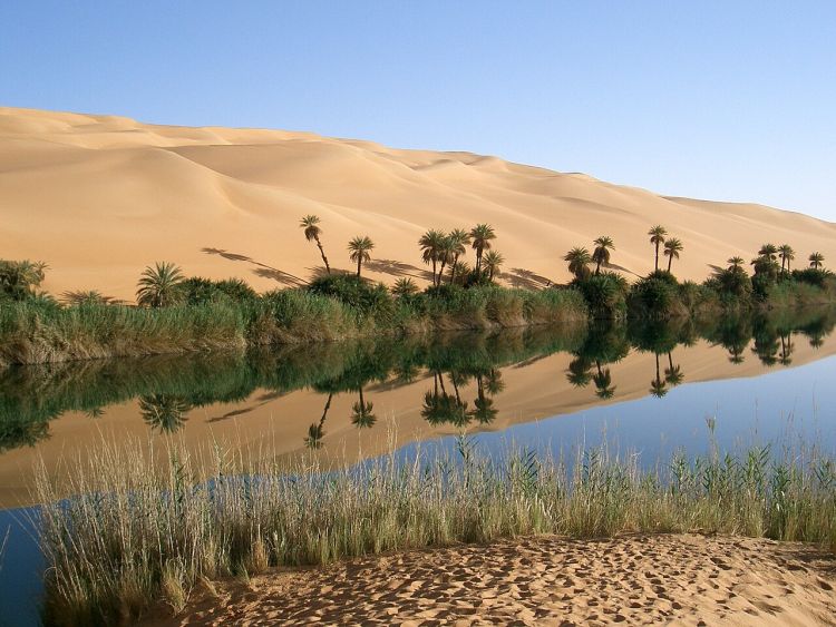 Oasis in Libya