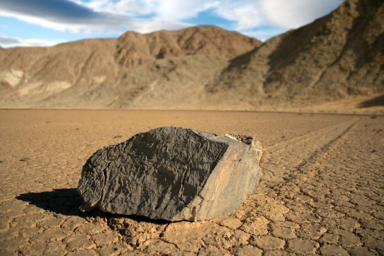 Racetrack Playa Pirate Scott