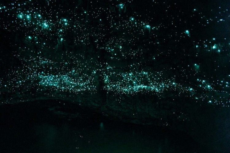 glowworm cave