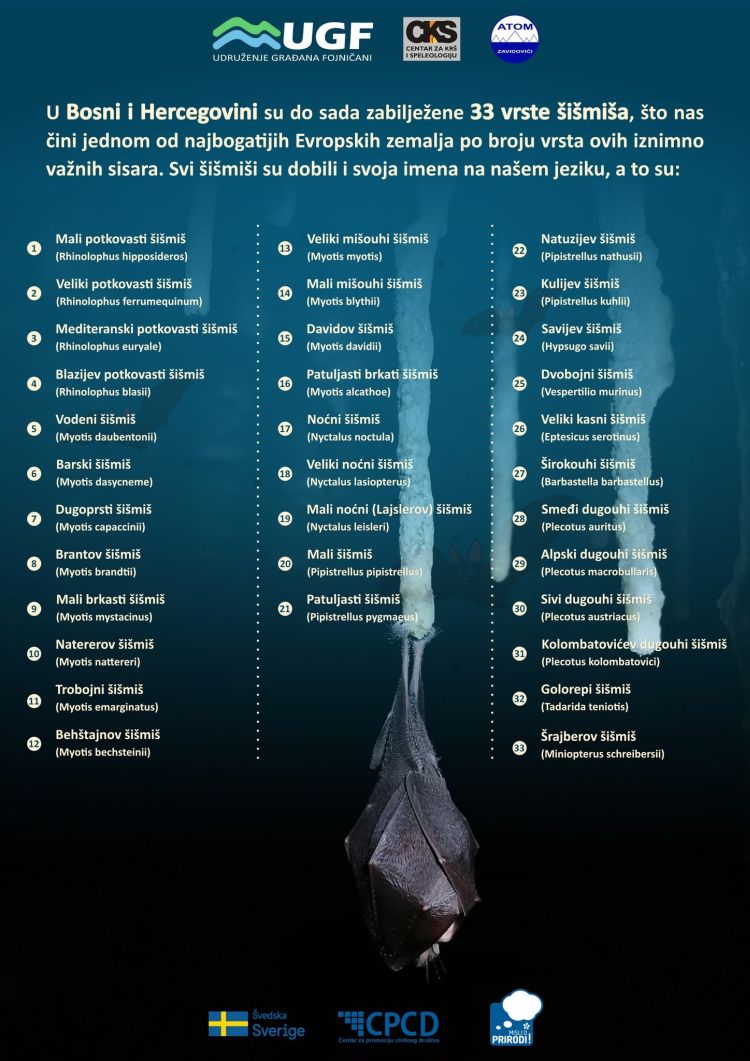 infogr1