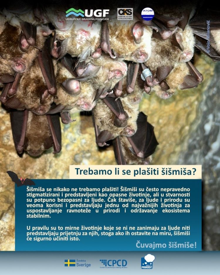 infogr6