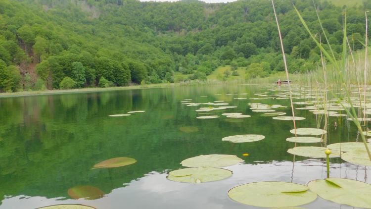 jezero foto impuls