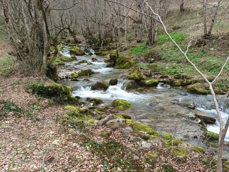 rijeka duboka foto impuls